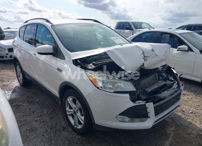2014 Ford Escape SE (VIN 1FMCU0G97EUB76173) main photo