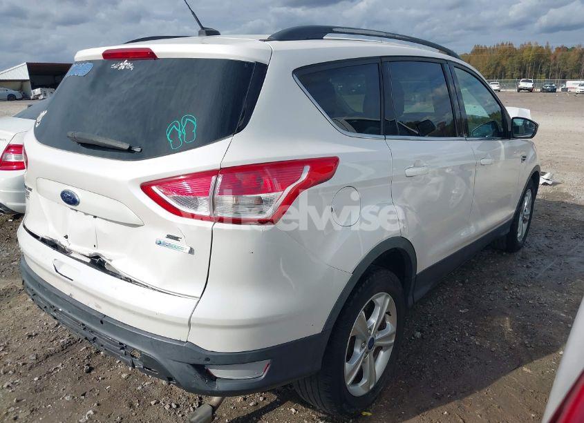 Photo 4 of 2014 Ford Escape SE (VIN 1FMCU0G97EUB76173)