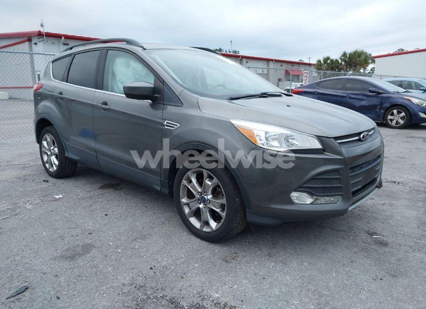 2014 Ford Escape SE (VIN 1FMCU0G97EUD70363) main photo