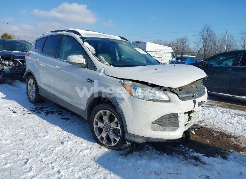2016 Ford Escape SE (VIN 1FMCU0G97GUB55066) main photo