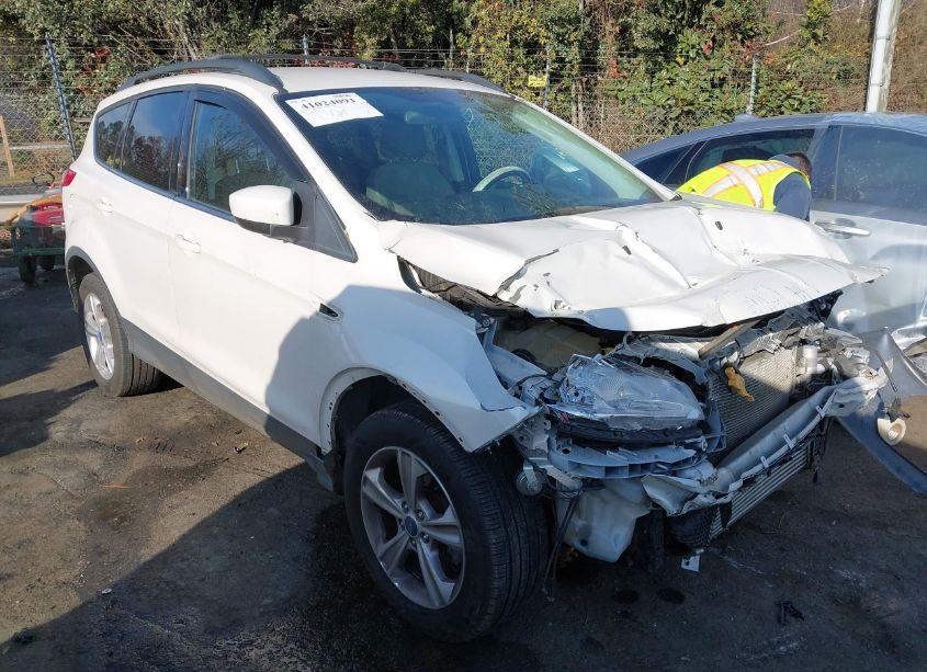 2013 Ford Escape SE (VIN 1FMCU0G98DUB70185) main photo