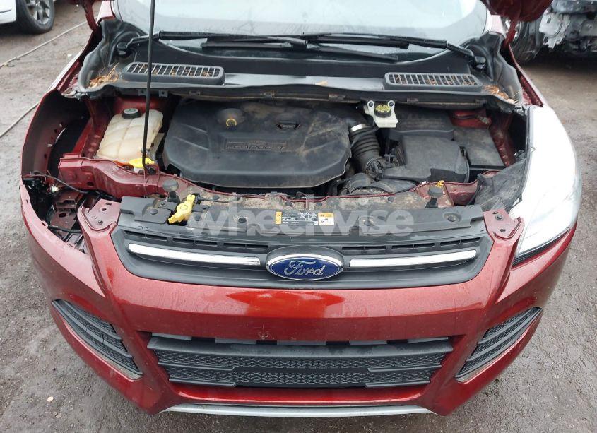 Photo 10 of 2014 Ford Escape SE (VIN 1FMCU0G98EUA40277)