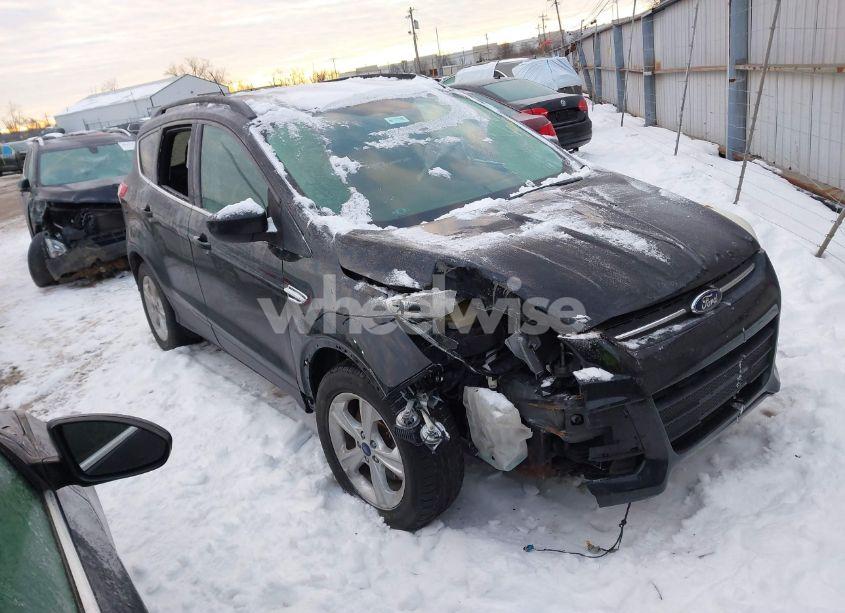 2014 Ford Escape SE (VIN 1FMCU0G98EUA60352) main photo