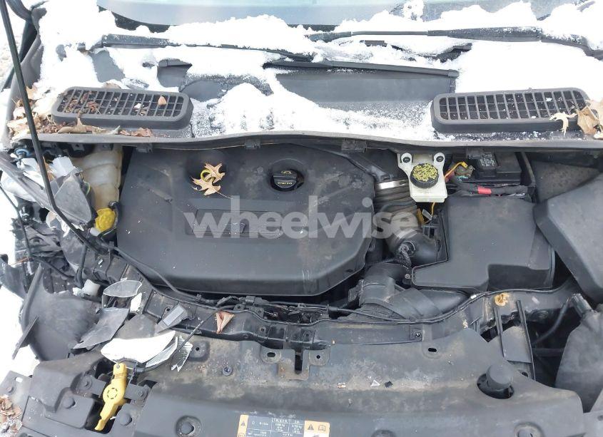 Photo 10 of 2014 Ford Escape SE (VIN 1FMCU0G98EUA60352)