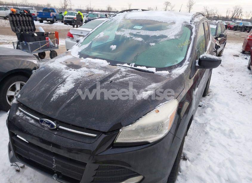 Photo 2 of 2014 Ford Escape SE (VIN 1FMCU0G98EUA60352)