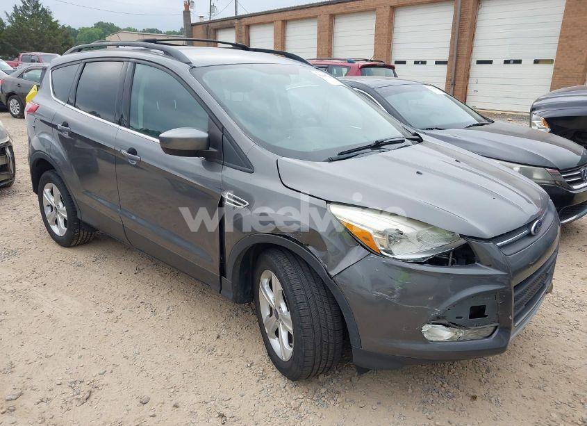 2014 Ford Escape SE (VIN 1FMCU0G98EUB37253) main photo