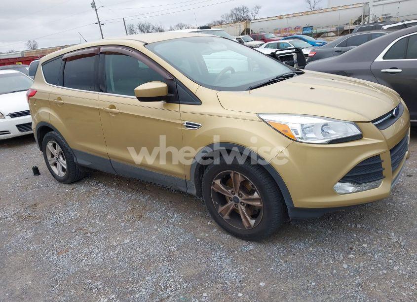 2014 Ford Escape SE (VIN 1FMCU0G98EUC16826) main photo