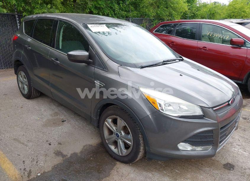 2014 Ford Escape SE (VIN 1FMCU0G98EUC21234) main photo