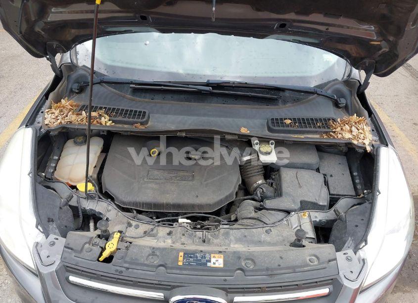 Photo 10 of 2014 Ford Escape SE (VIN 1FMCU0G98EUC21234)