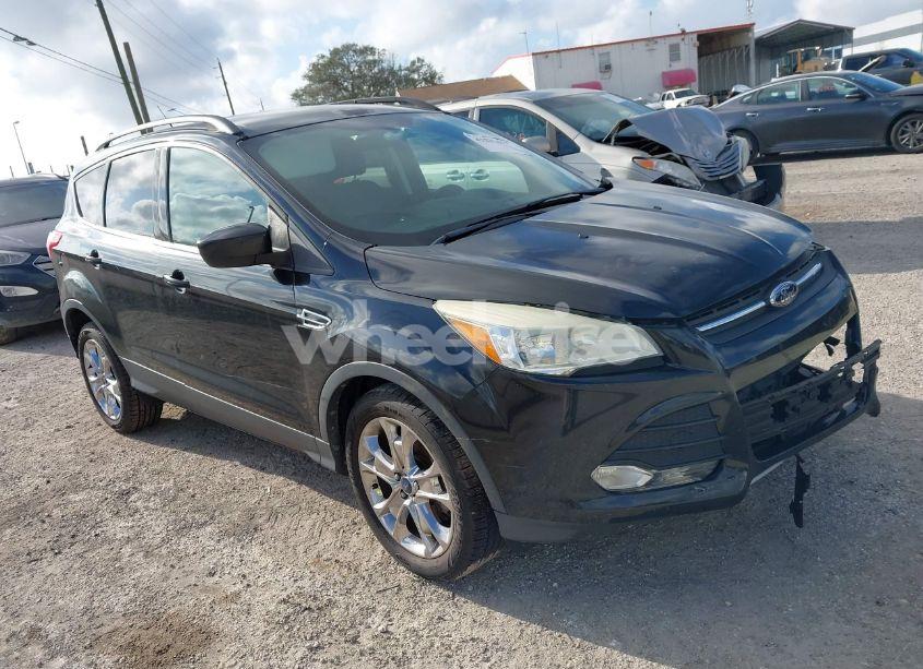 2014 Ford Escape SE (VIN 1FMCU0G98EUD56245) main photo