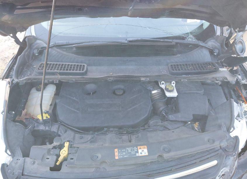 Photo 10 of 2014 Ford Escape SE (VIN 1FMCU0G98EUD56438)