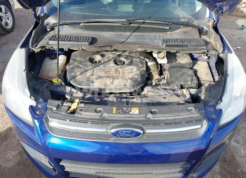 Photo 10 of 2014 Ford Escape SE (VIN 1FMCU0G98EUD65527)