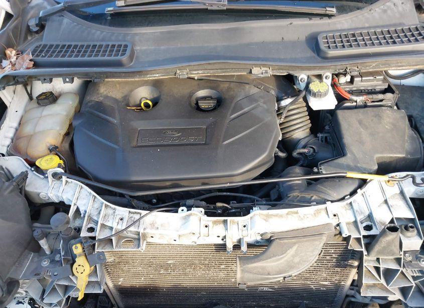 Photo 10 of 2015 Ford Escape SE (VIN 1FMCU0G98FUA57033)