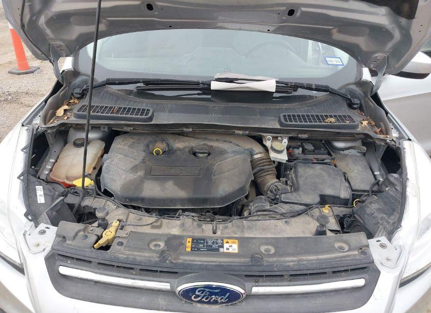 Photo 10 of 2016 Ford Escape SE (VIN 1FMCU0G98GUA97517)