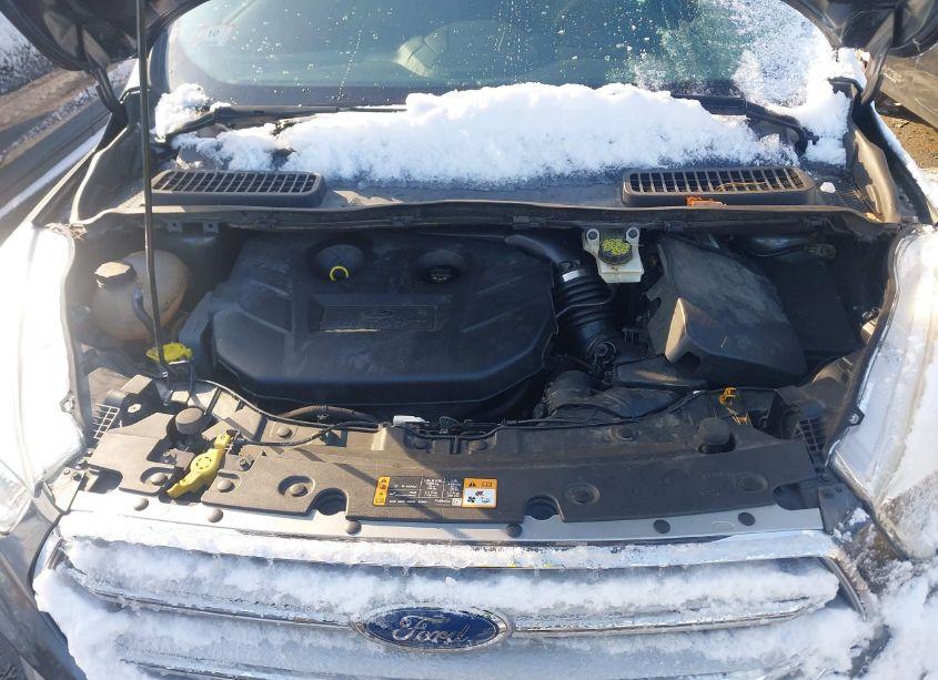 Photo 10 of 2017 Ford Escape SE (VIN 1FMCU0G98HUE65194)