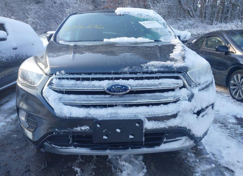 Photo 12 of 2017 Ford Escape SE (VIN 1FMCU0G98HUE65194)