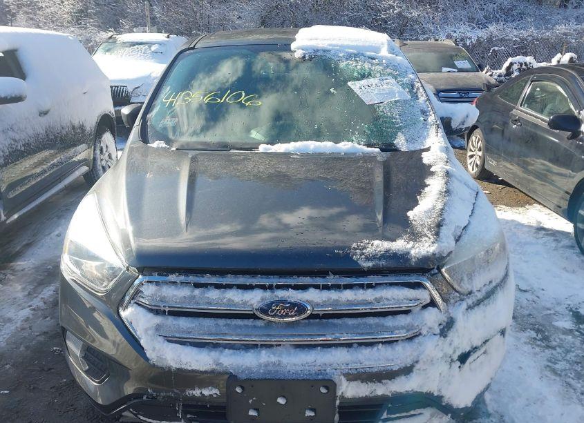 Photo 6 of 2017 Ford Escape SE (VIN 1FMCU0G98HUE65194)