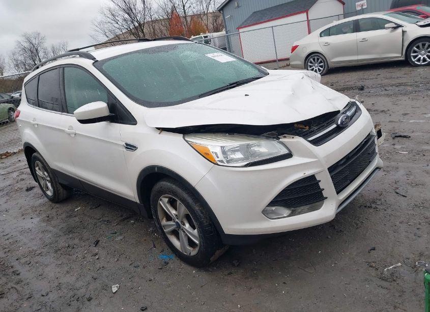 2013 Ford Escape SE (VIN 1FMCU0G99DUA01938) main photo