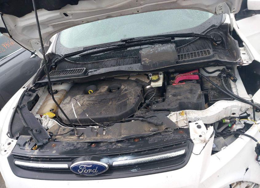 Photo 10 of 2013 Ford Escape SE (VIN 1FMCU0G99DUA01938)