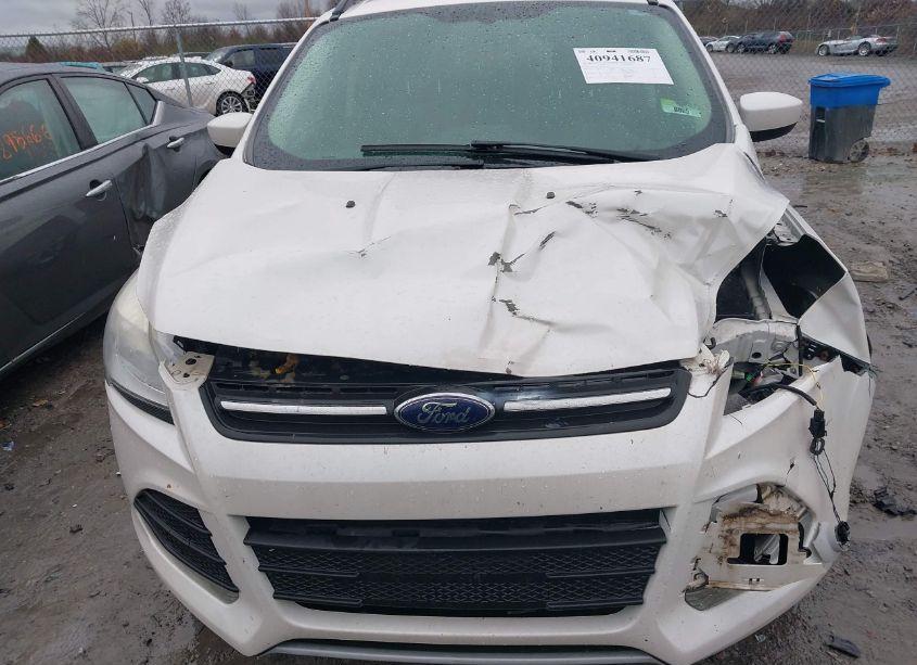 Photo 6 of 2013 Ford Escape SE (VIN 1FMCU0G99DUA01938)