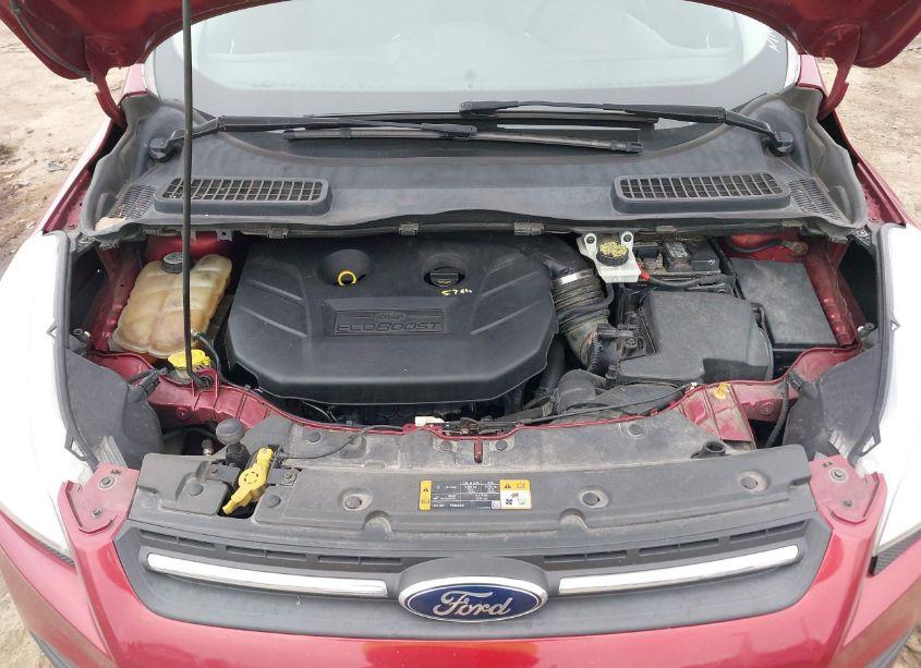 Photo 10 of 2013 Ford Escape SE (VIN 1FMCU0G99DUC22312)