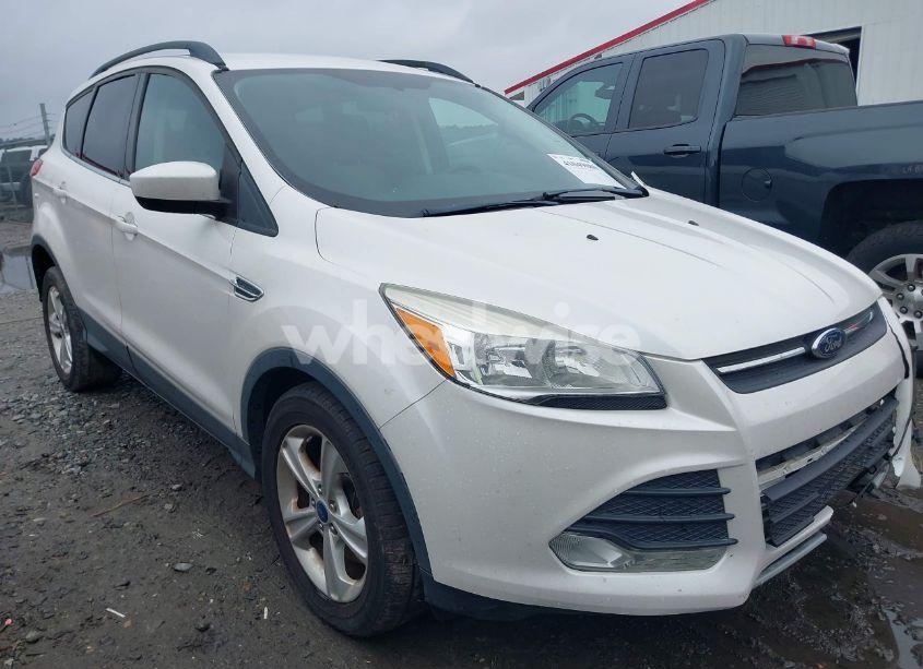 2014 Ford Escape SE (VIN 1FMCU0G99EUA27201) main photo