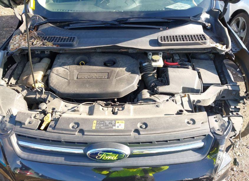 Photo 10 of 2014 Ford Escape SE (VIN 1FMCU0G99EUB06688)