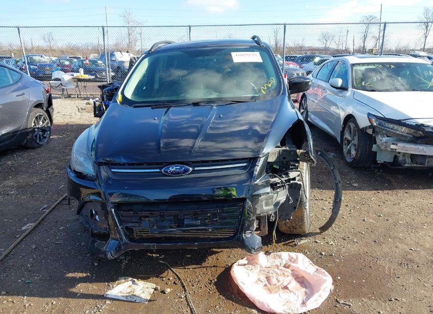 Photo 12 of 2014 Ford Escape SE (VIN 1FMCU0G99EUB06688)