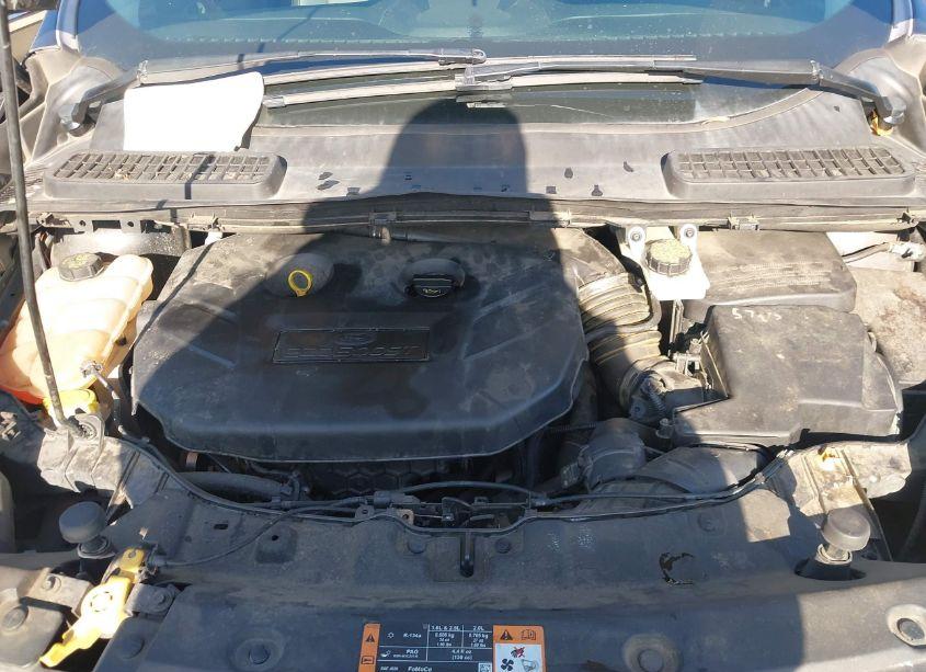 Photo 10 of 2015 Ford Escape SE (VIN 1FMCU0G99FUC07490)