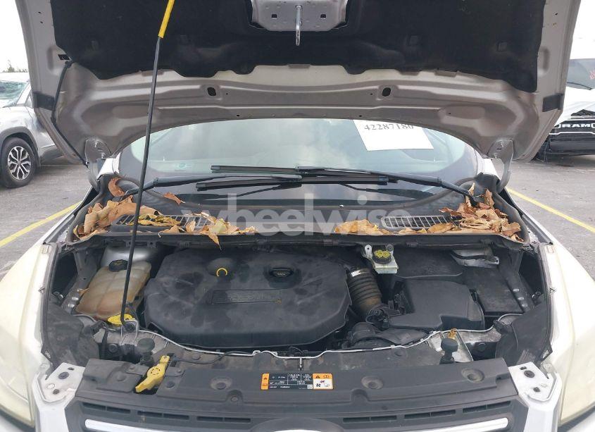 Photo 10 of 2016 Ford Escape SE (VIN 1FMCU0G99GUC12870)