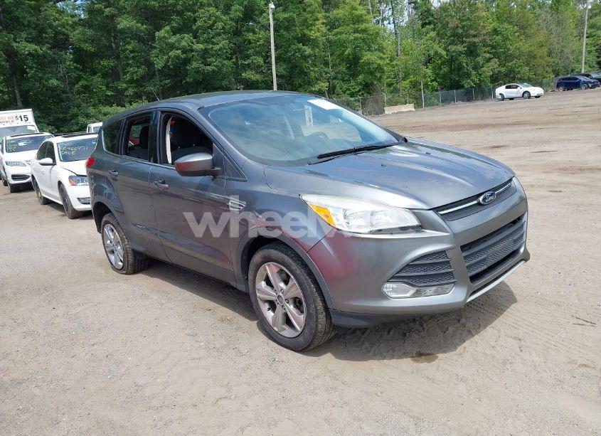 2013 Ford Escape SE (VIN 1FMCU0G9XDUB65263) main photo