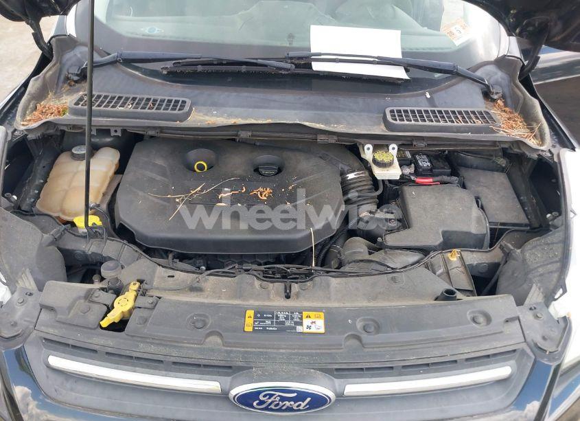 Photo 10 of 2013 Ford Escape SE (VIN 1FMCU0G9XDUD47433)