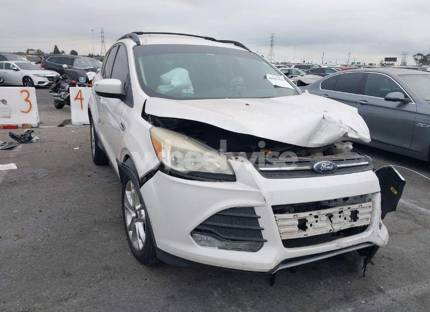 2013 Ford Escape SE (VIN 1FMCU0G9XDUD54978) main photo