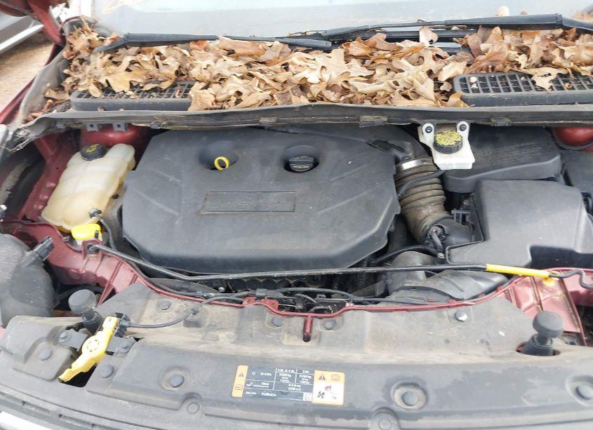 Photo 10 of 2014 Ford Escape SE (VIN 1FMCU0G9XEUC57099)