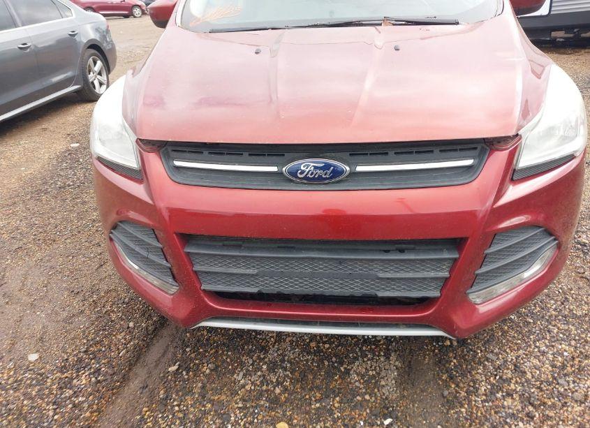 Photo 6 of 2014 Ford Escape SE (VIN 1FMCU0G9XEUC57099)