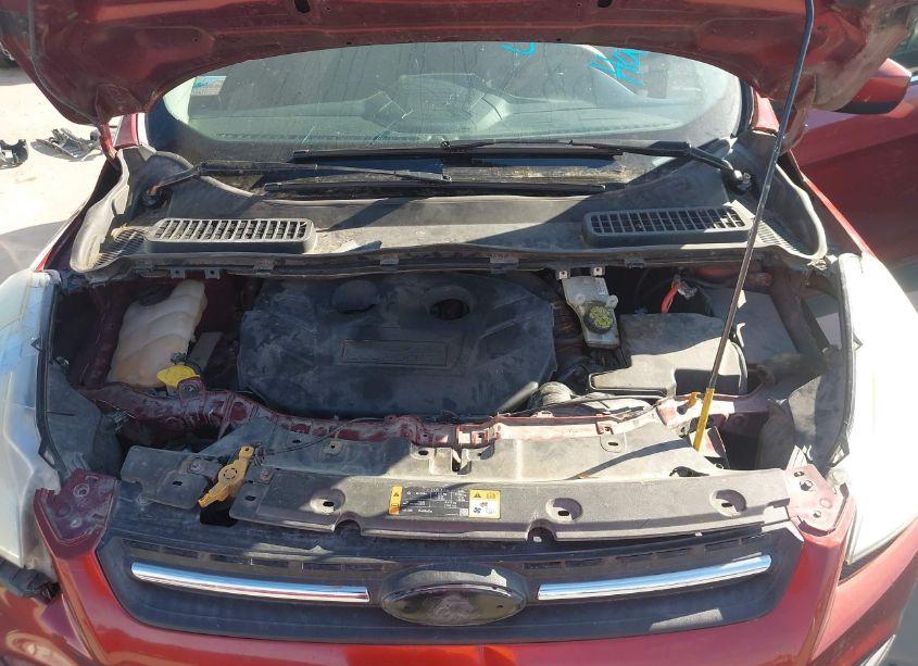 Photo 10 of 2014 Ford Escape SE (VIN 1FMCU0G9XEUD08696)