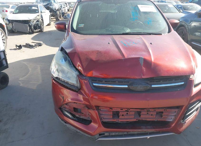 Photo 13 of 2014 Ford Escape SE (VIN 1FMCU0G9XEUD08696)