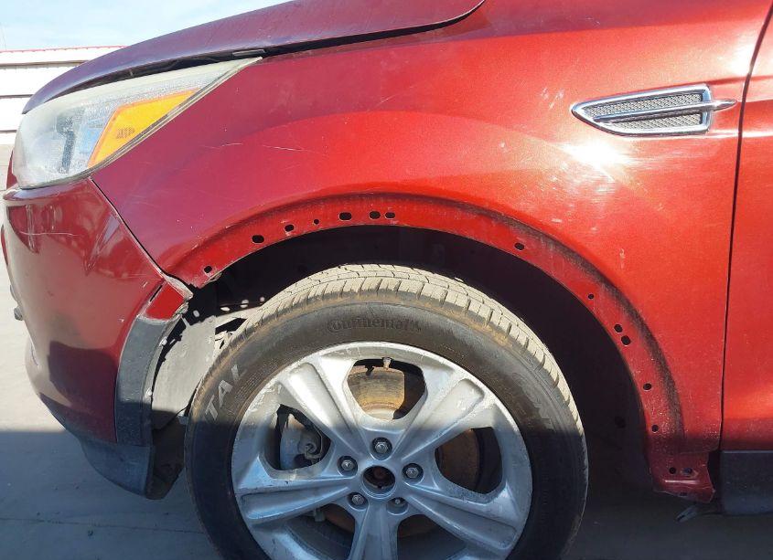 Photo 14 of 2014 Ford Escape SE (VIN 1FMCU0G9XEUD08696)