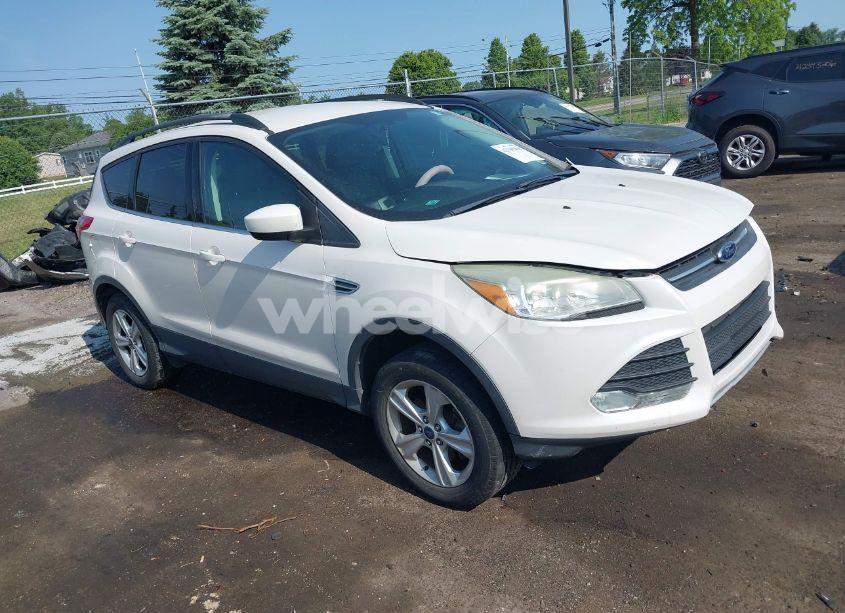 2014 Ford Escape SE (VIN 1FMCU0G9XEUD09301) main photo