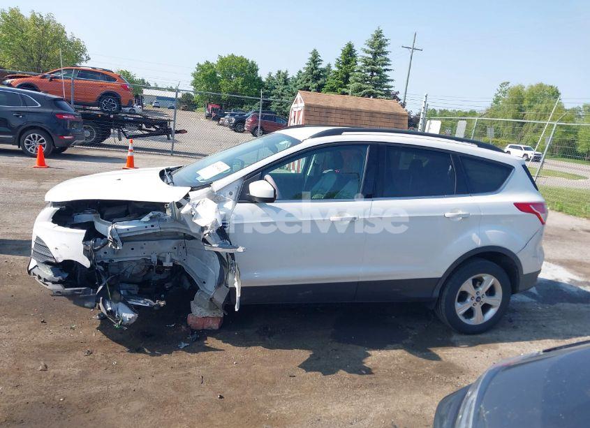 Photo 14 of 2014 Ford Escape SE (VIN 1FMCU0G9XEUD09301)