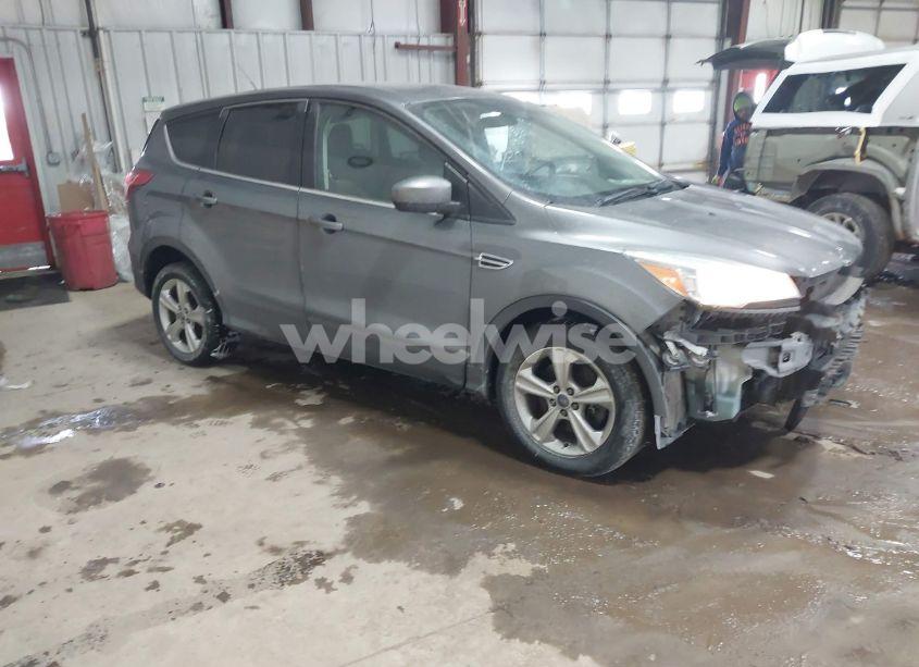 2014 Ford Escape SE (VIN 1FMCU0G9XEUE10614) main photo