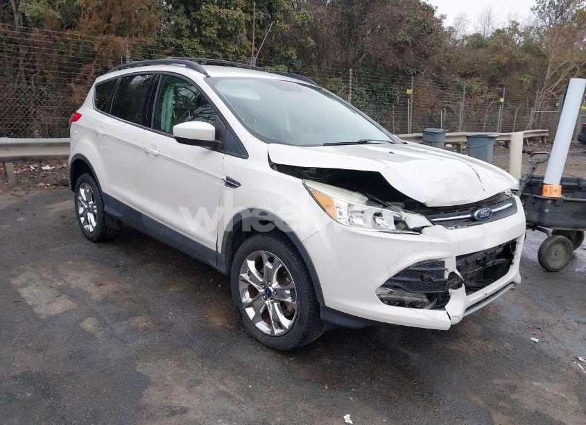 2014 Ford Escape SE (VIN 1FMCU0G9XEUE33729) main photo