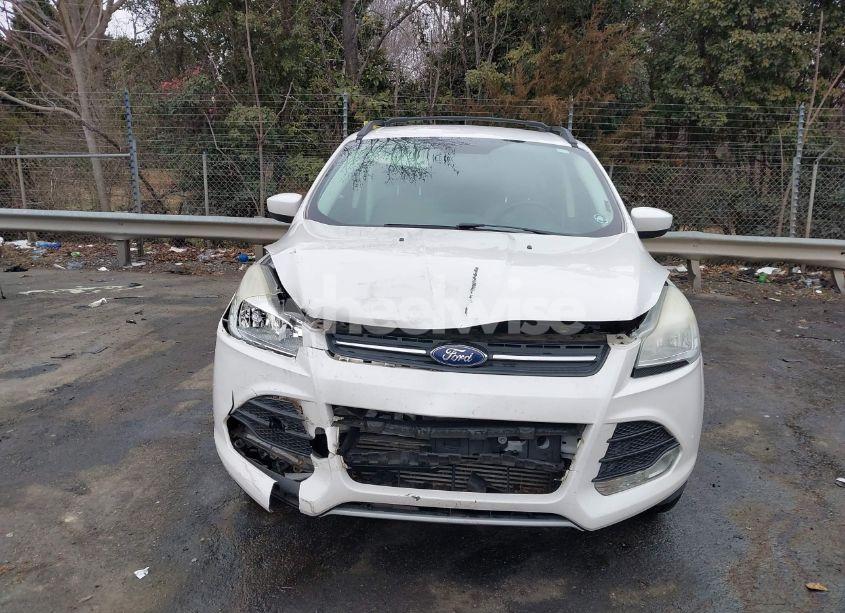 Photo 12 of 2014 Ford Escape SE (VIN 1FMCU0G9XEUE33729)