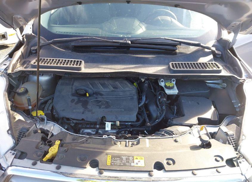 Photo 10 of 2017 Ford Escape SE (VIN 1FMCU0GD0HUD27508)