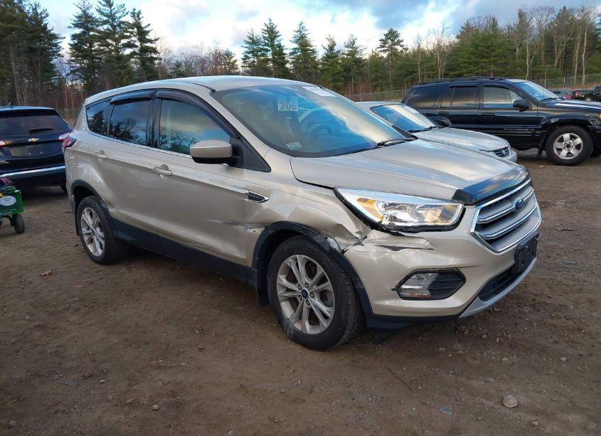 2017 Ford Escape SE (VIN 1FMCU0GD0HUE02207) main photo