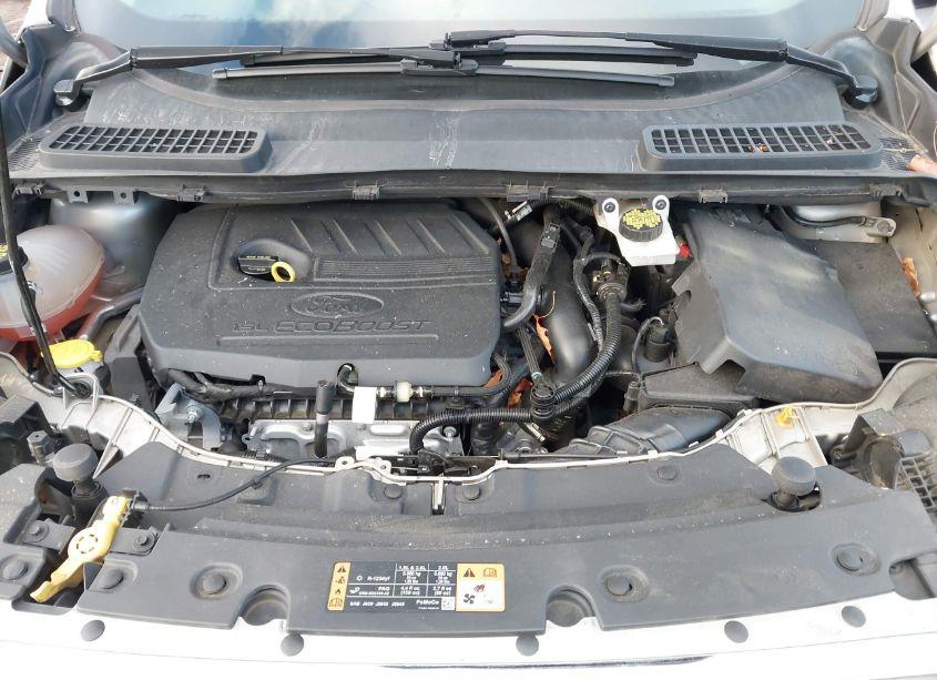 Photo 10 of 2017 Ford Escape SE (VIN 1FMCU0GD0HUE02207)