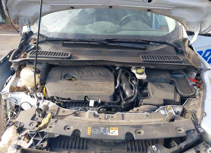 Photo 10 of 2018 Ford Escape SE (VIN 1FMCU0GD0JUD31015)