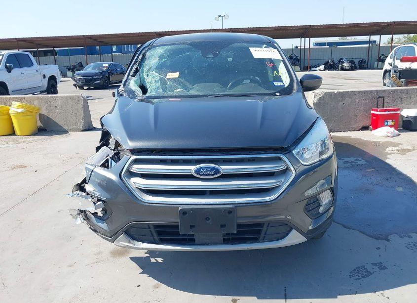 Photo 12 of 2019 Ford Escape SE (VIN 1FMCU0GD0KUA41195)