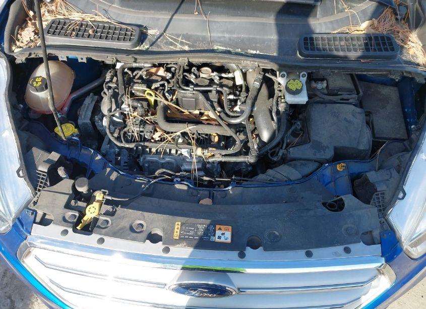 Photo 10 of 2019 Ford Escape SE (VIN 1FMCU0GD0KUA74634)