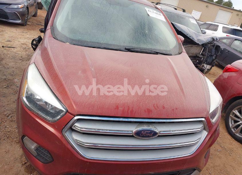 Photo 12 of 2019 Ford Escape SE (VIN 1FMCU0GD0KUA91370)